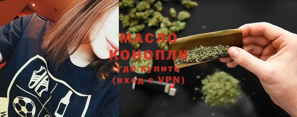 таблы Гусев