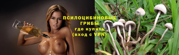 mdpv Горняк