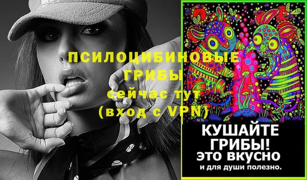 меф Гусь-Хрустальный