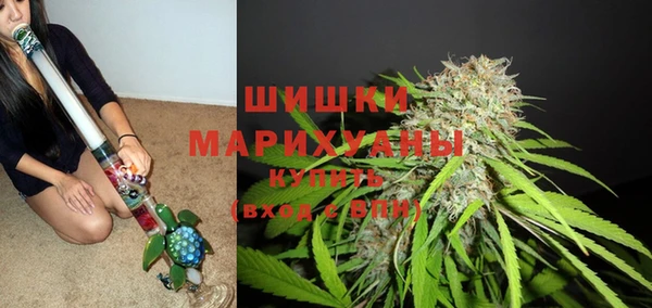 mdpv Горняк