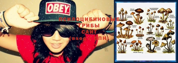 таблы Гусев