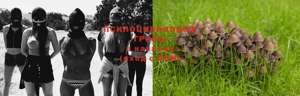 кокс Горнозаводск