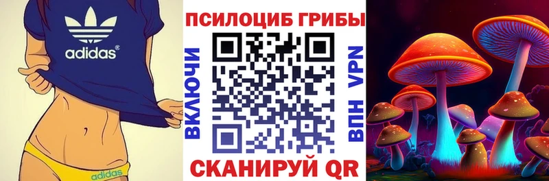 Галлюциногенные грибы Magic Shrooms Мценск