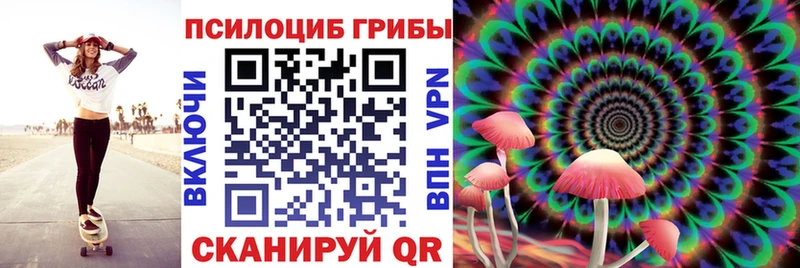 Псилоцибиновые грибы прущие грибы  Мценск 